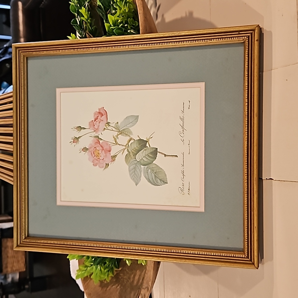 Vintage Rose Botanical Print Framed